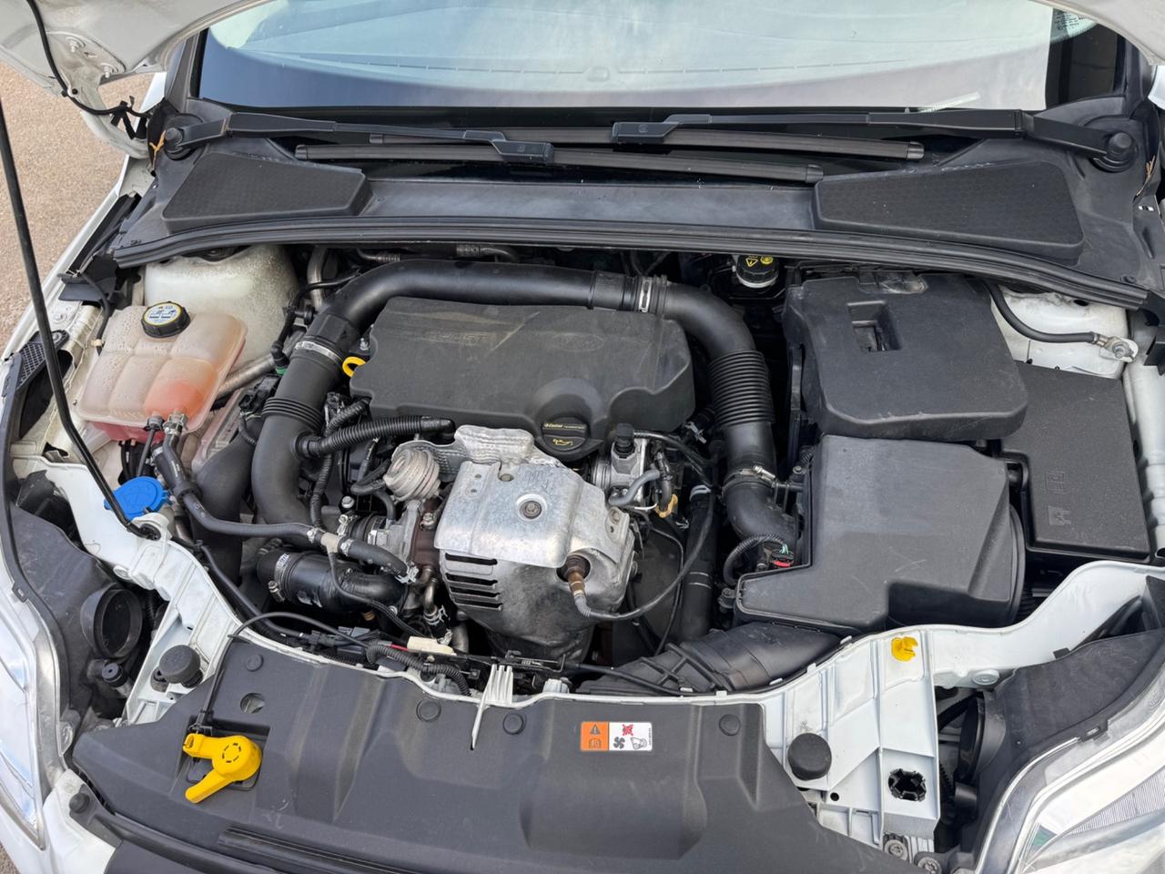 Ford Focus 1.0 EcoBoost 125 CV tagliando
