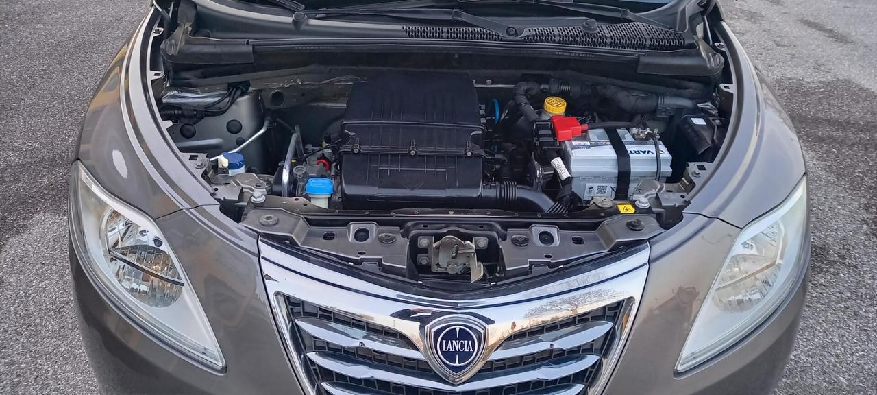 Lancia Ypsilon Benzina cc. 1.242 - 5 Porte 5 Posti UTILIZZABILE ANCHE PER I NEOPATENTATI.