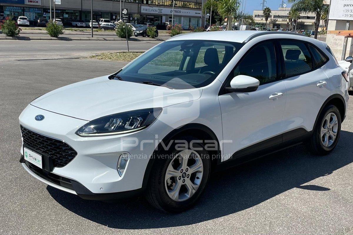 FORD Kuga 1.5 EcoBlue 120 CV 2WD Titanium Business