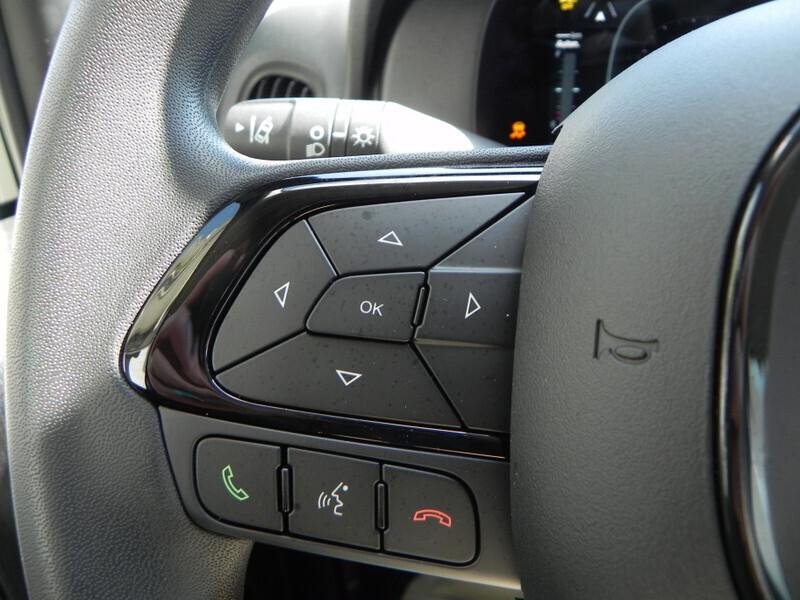 Fiat Panda 1.0 FireFly S&S Hybrid Icon