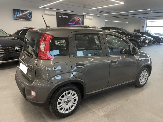FIAT Panda 1.0 Hybrid 70 CV City Life