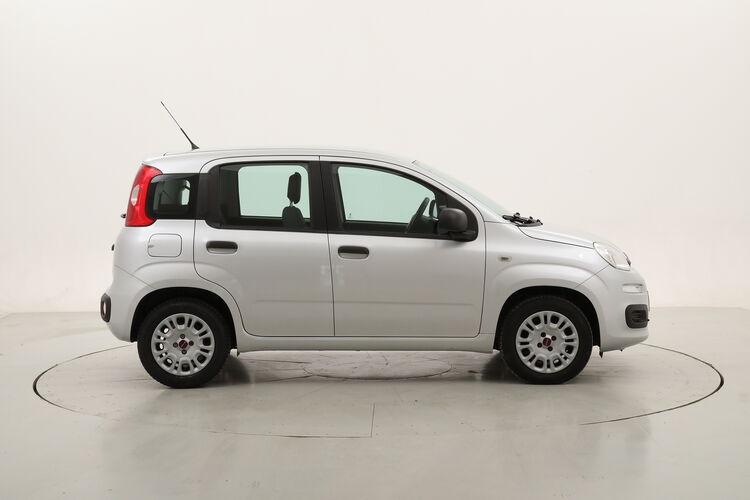 Fiat Panda Easy BR166029 1.2 Benzina 69CV