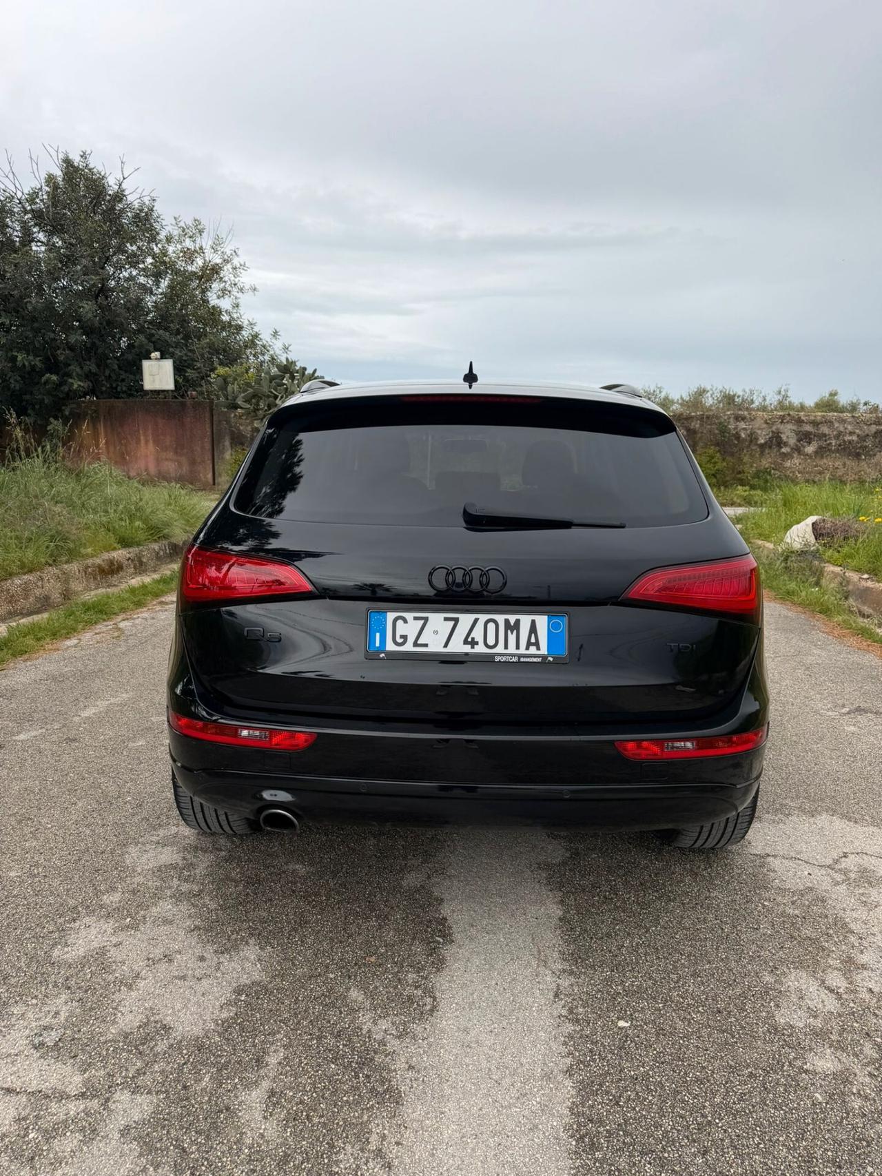 Audi Q5 2.0 TDI 177CV quattro S tronic Advanced Plus