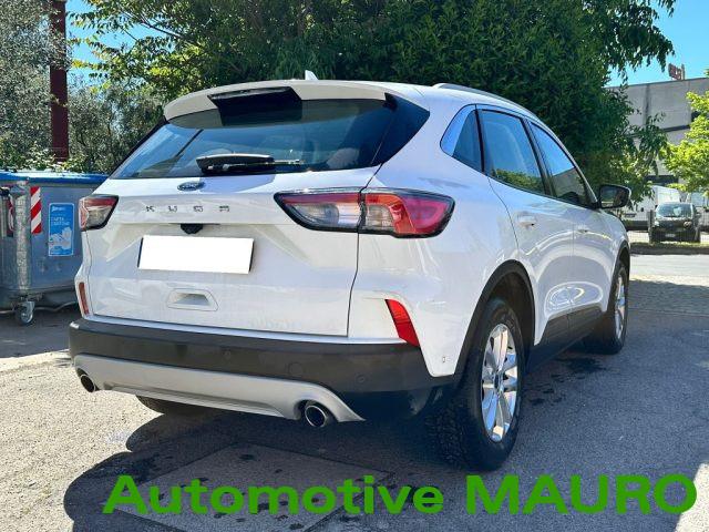 FORD Kuga 1.5 EcoBlue 120 CV 2WD Titanium Business