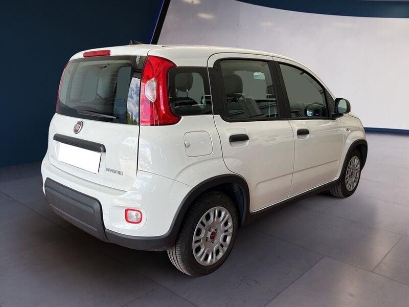 FIAT Panda My23 1.0 70cv Hybrid Panda