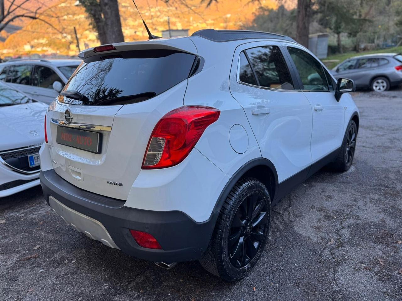Opel Mokka 1.6 CDTI Ecotec 136CV 4x4 Start&Stop Cosmo b-Color E6