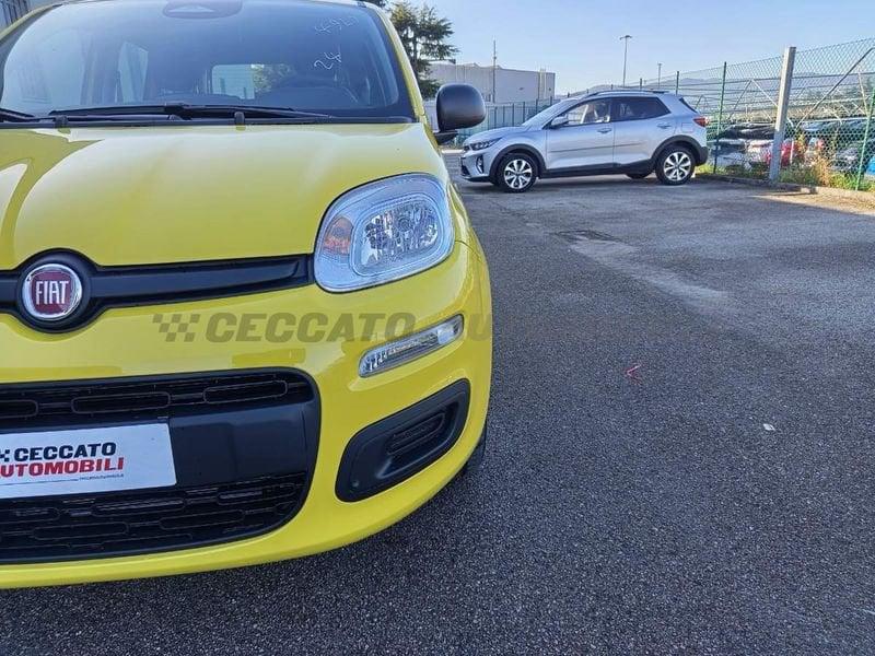 FIAT Pandina Pandina 1.0 65cv Hybrid Icon