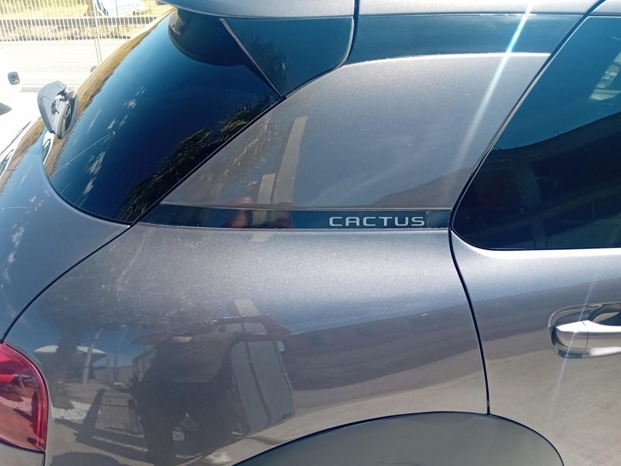 Citroen C4 Cactus BlueHDi 100 S&S Shine