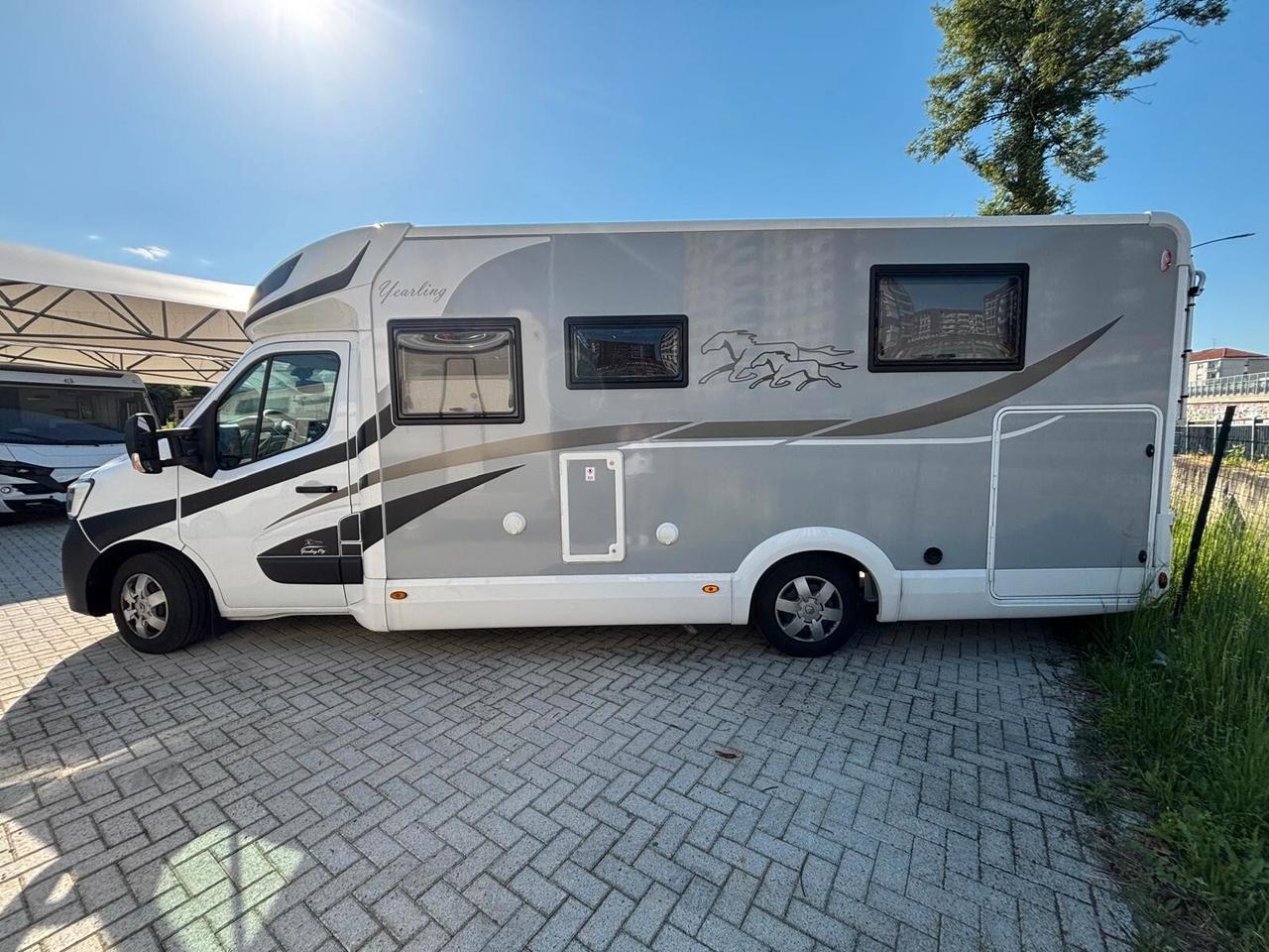 Mclouis Yearling 89g camper