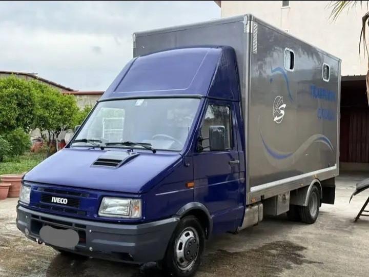Iveco Daily 35.12 Trasporto cavalli
