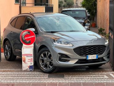 Ford Kuga 1.5 EcoBlue 120 CV aut. 2WD ST-Line X