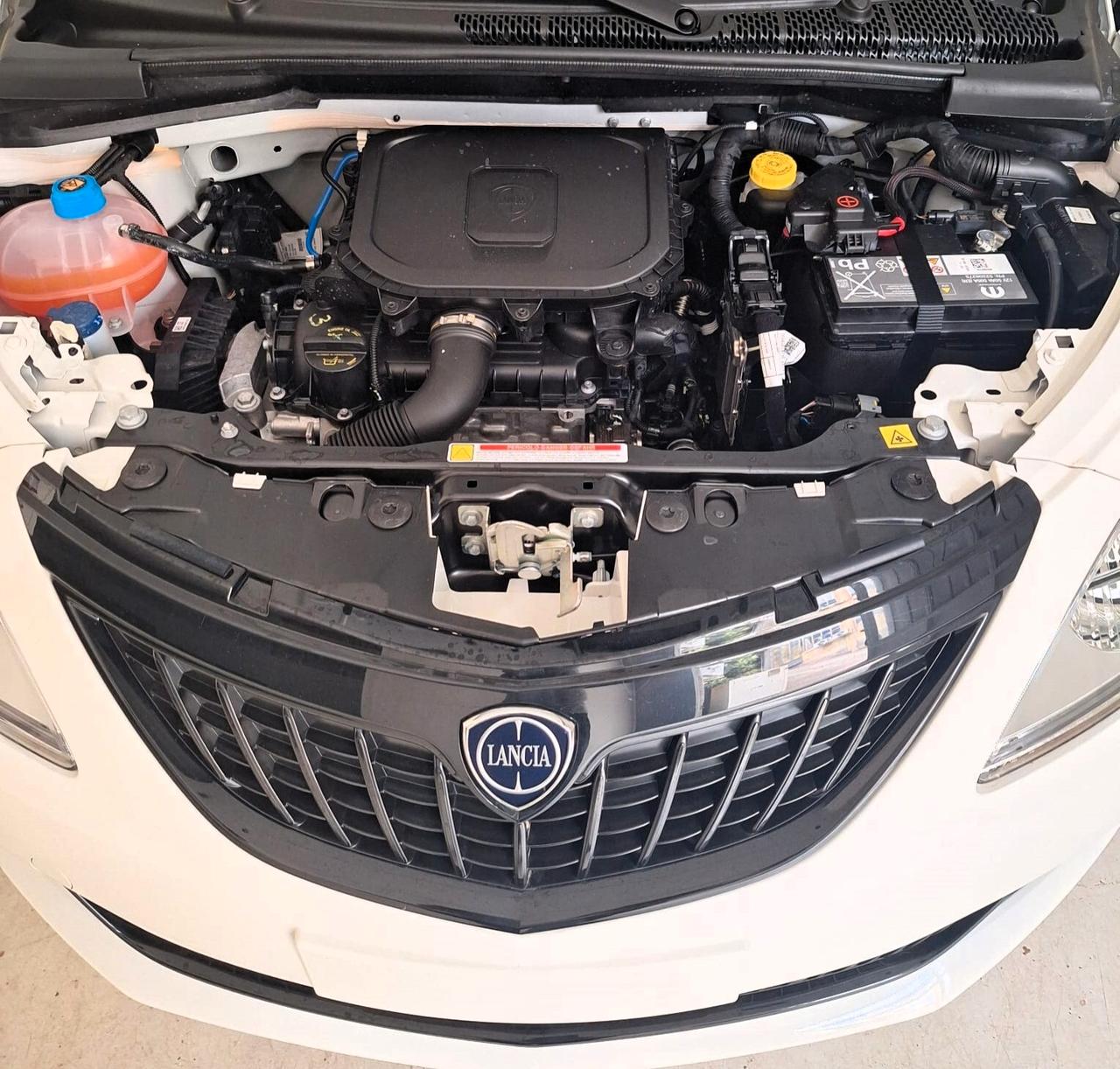 Lancia Ypsilon 1.0 FireFly 5 porte S&S Hybrid Oro n 101079