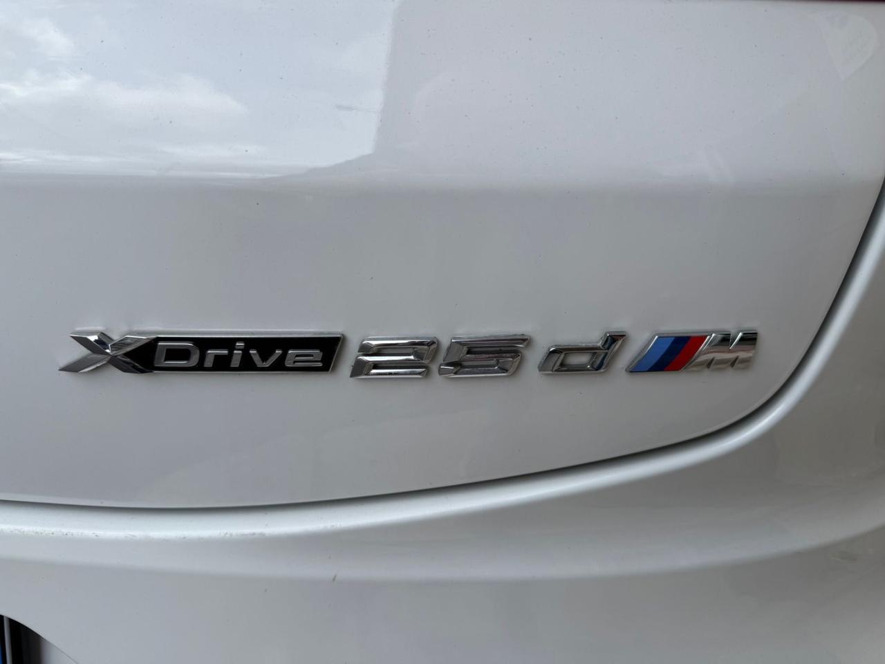 Bmw X4 xDrive25d Msport-X