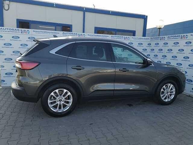 Ford Kuga 1.5 EcoBlue 120 CV 2WD Titanium