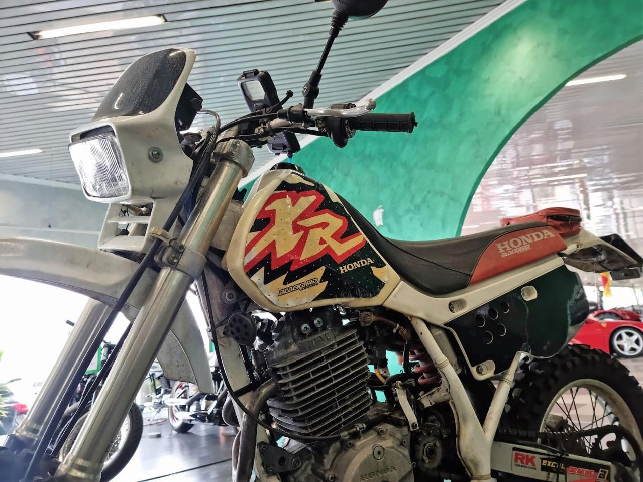 HONDA XR 600 R Blackbird