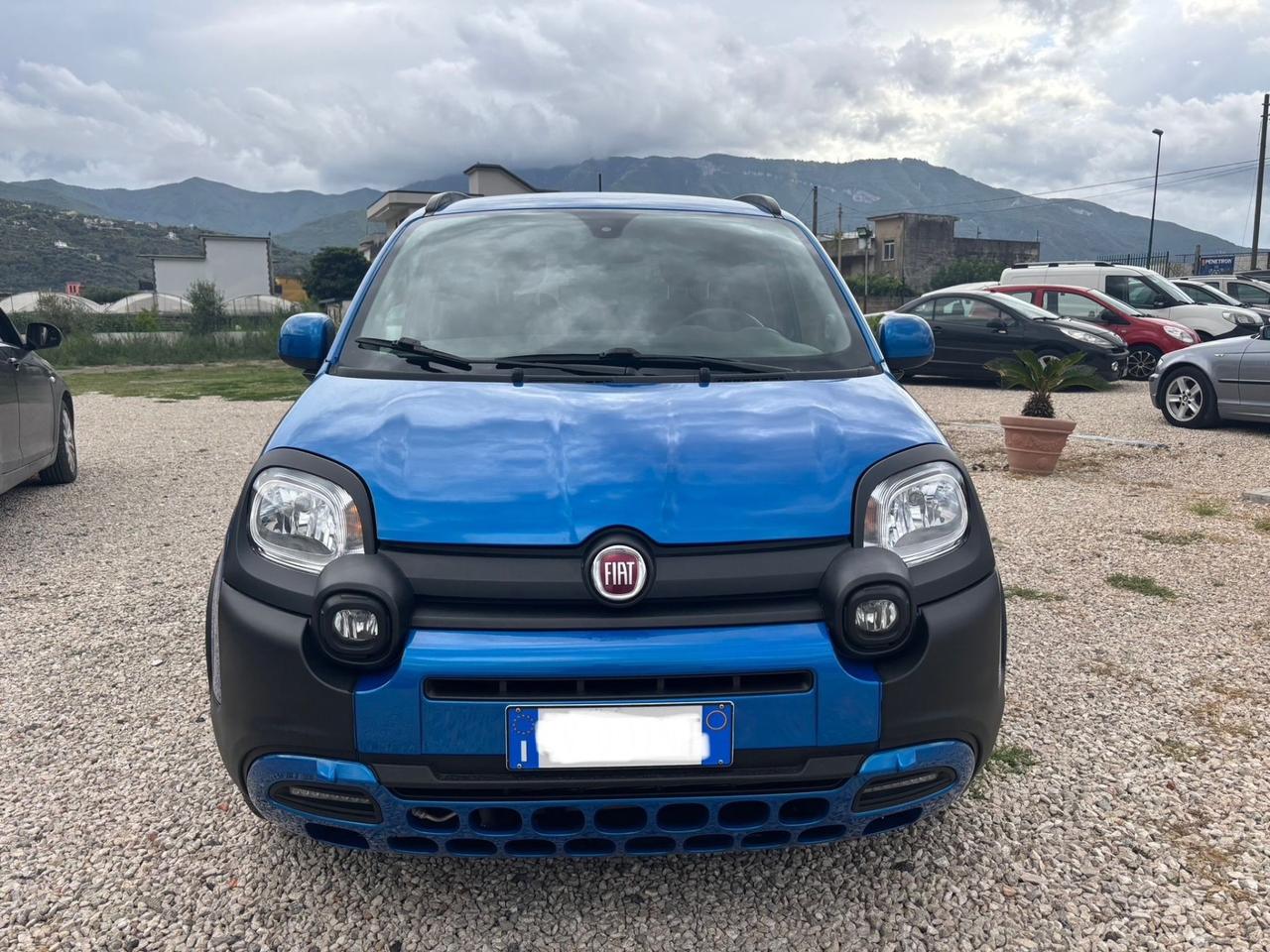 Fiat Panda 1.0 FireFly S&S Hybrid Pandina