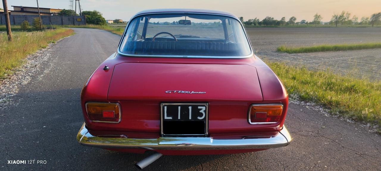 Alfa Romeo GT JUNIOR SCALINO