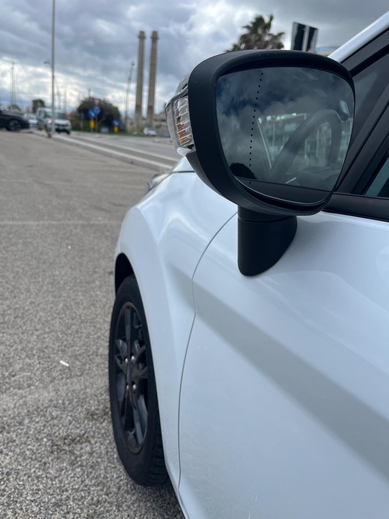 Ford Fiesta 1.5 TDCi 75CV Black & White Edition