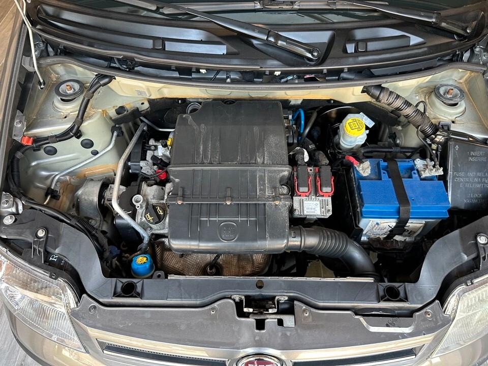 Fiat Panda 1.2 Dynamic - Neopatentati