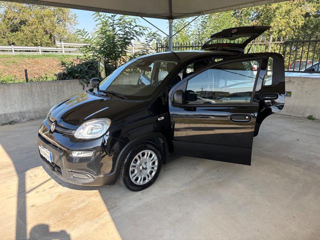 FIAT Panda 1.0 FireFly S&S Hybrid COME NUOVA PRONTA CONSEGNA