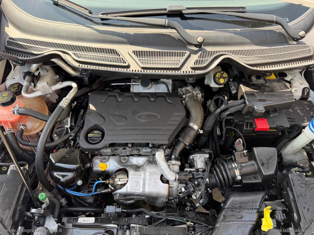 FORD EcoSport 1.5 TDCi 100 CV S&S Titanium PERFETTA!!!