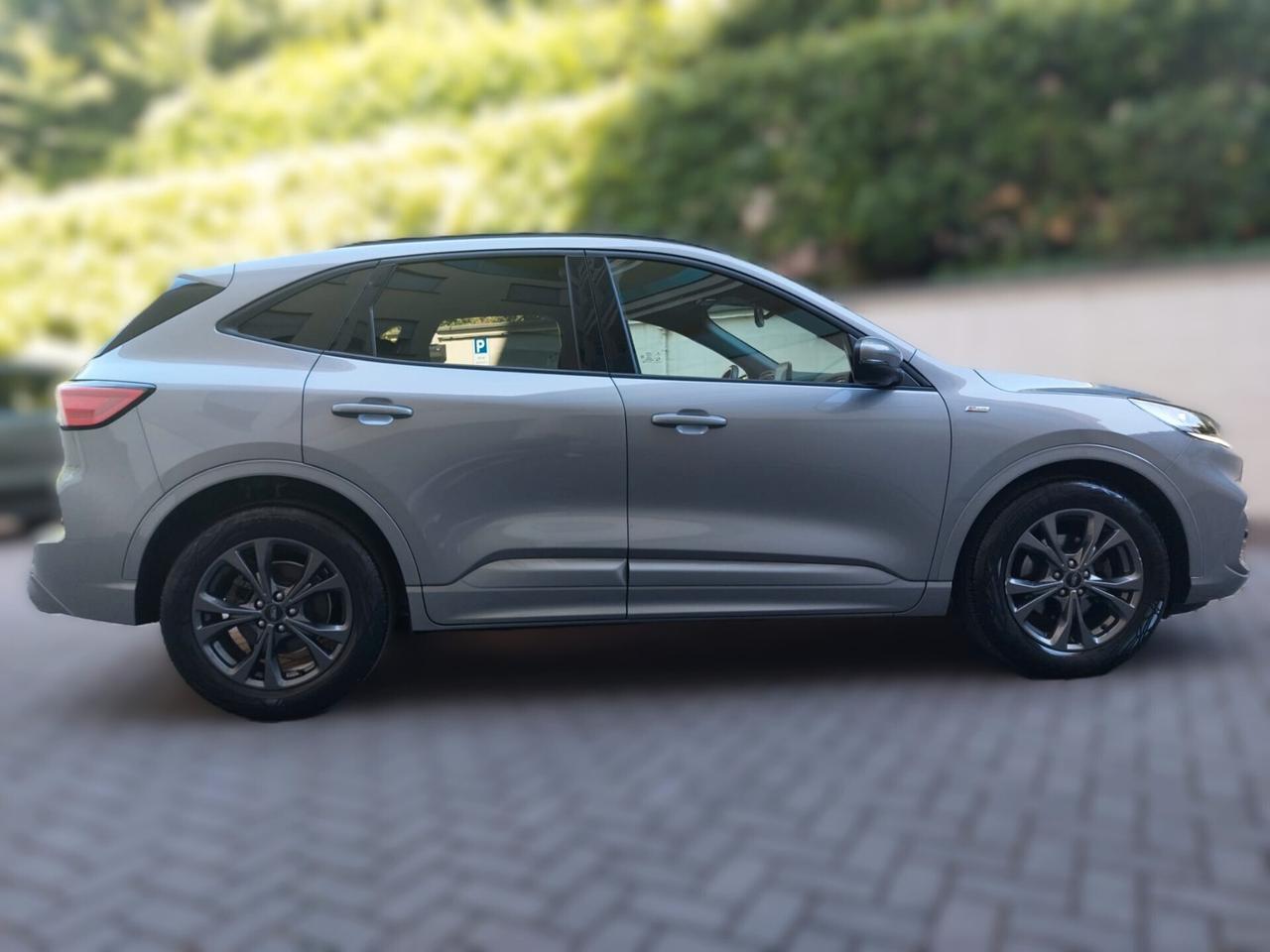 Ford Kuga 1.5 EcoBlue 120 CV 2WD ST-Line