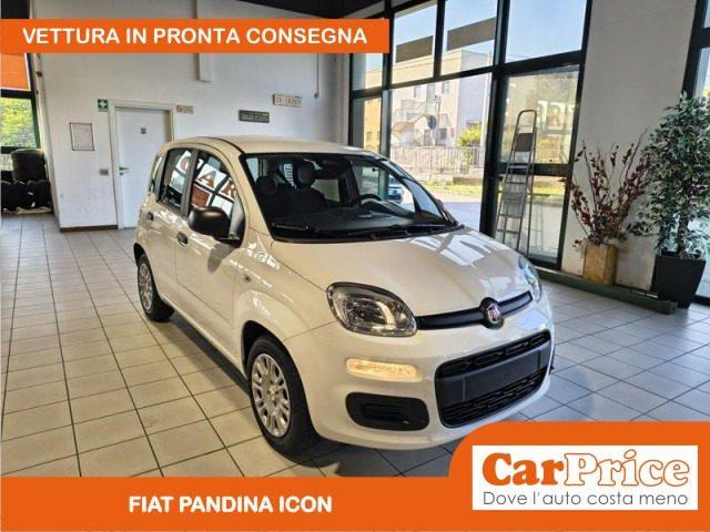 FIAT Pandina 1.0 FireFly 65CV Hybrid Icon (5 Posti)