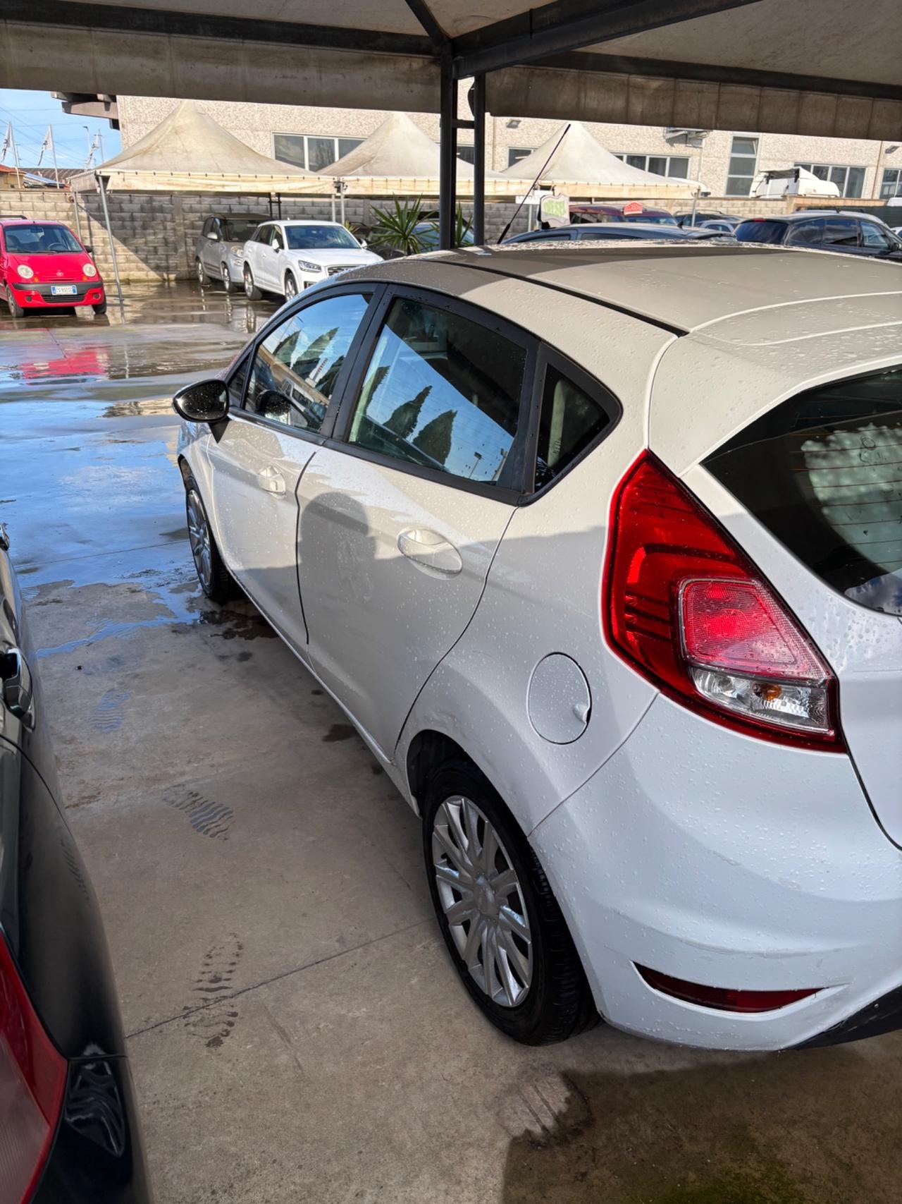 Ford Fiesta 1.0 80CV 5 porte neo patentati