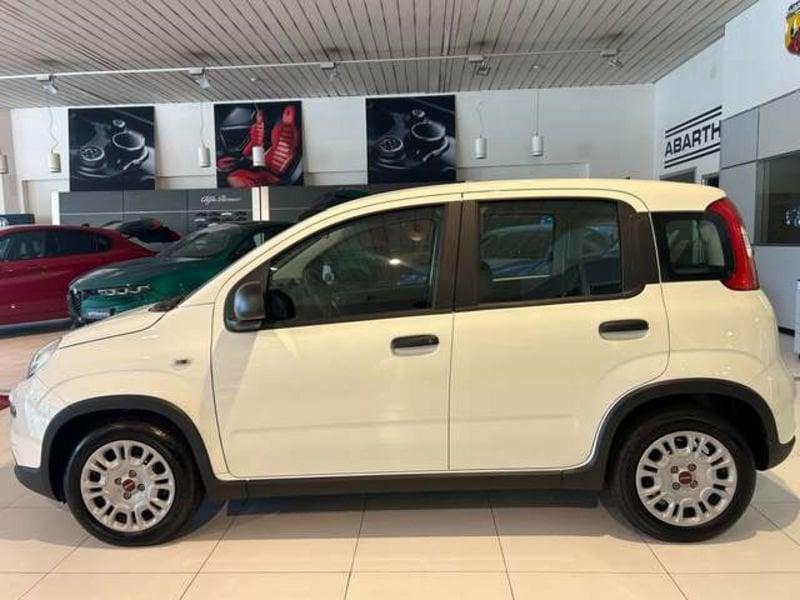 FIAT Panda 1.0 firefly hybrid s