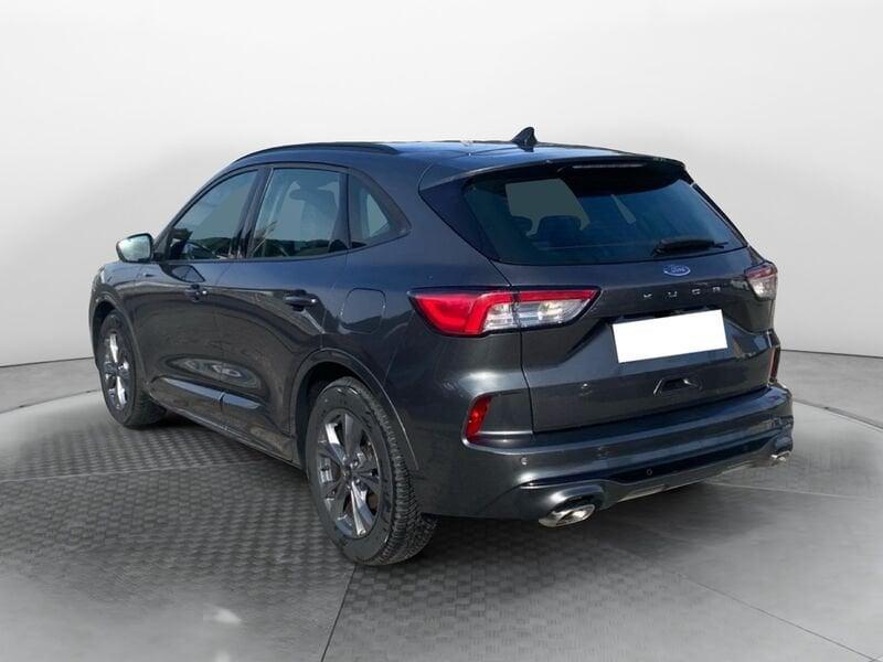 Ford Kuga Kuga 2.0 ecoblue ST-Line awd 120cv auto