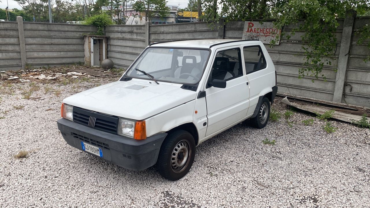 Fiat Panda 1100 i.e. cat Young GPL