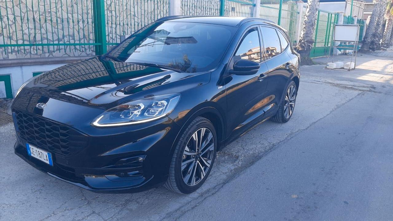 Ford Kuga 1.5 EcoBlue 120 CV aut. 2WD ST-Line X