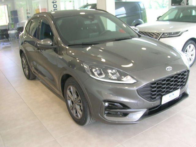 FORD Kuga ST-Line X 1.5 EcoBlue 120cv Automatica A8 2WD