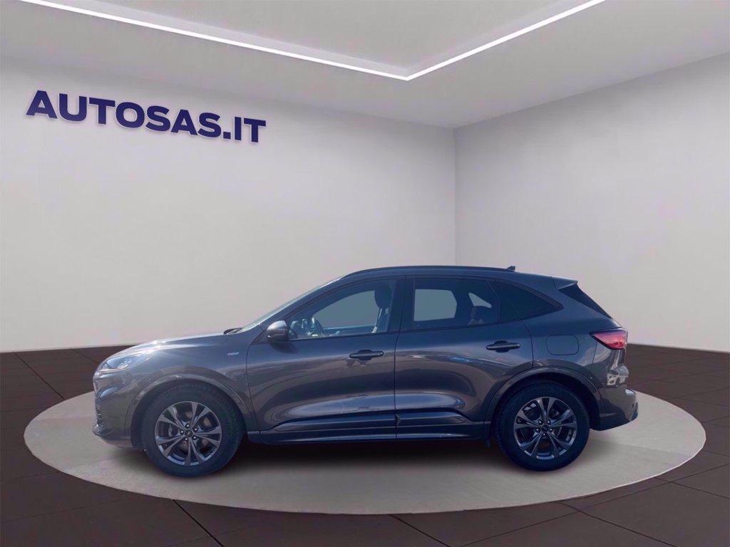FORD Kuga 1.5 EcoBlue 120 CV 2WD Titanium Business del 2022
