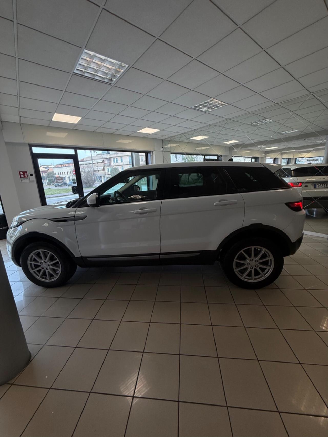 Land Rover Range Evoque 2.0 TD4 150 CV 5p. Pure