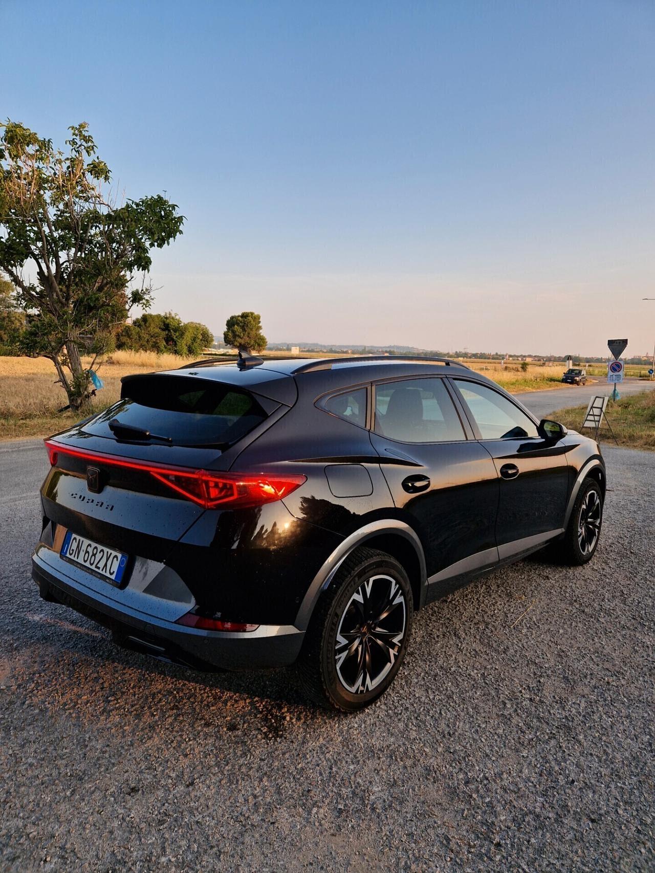 Cupra Formentor 2.0 TDI 4Drive DSG 4x4