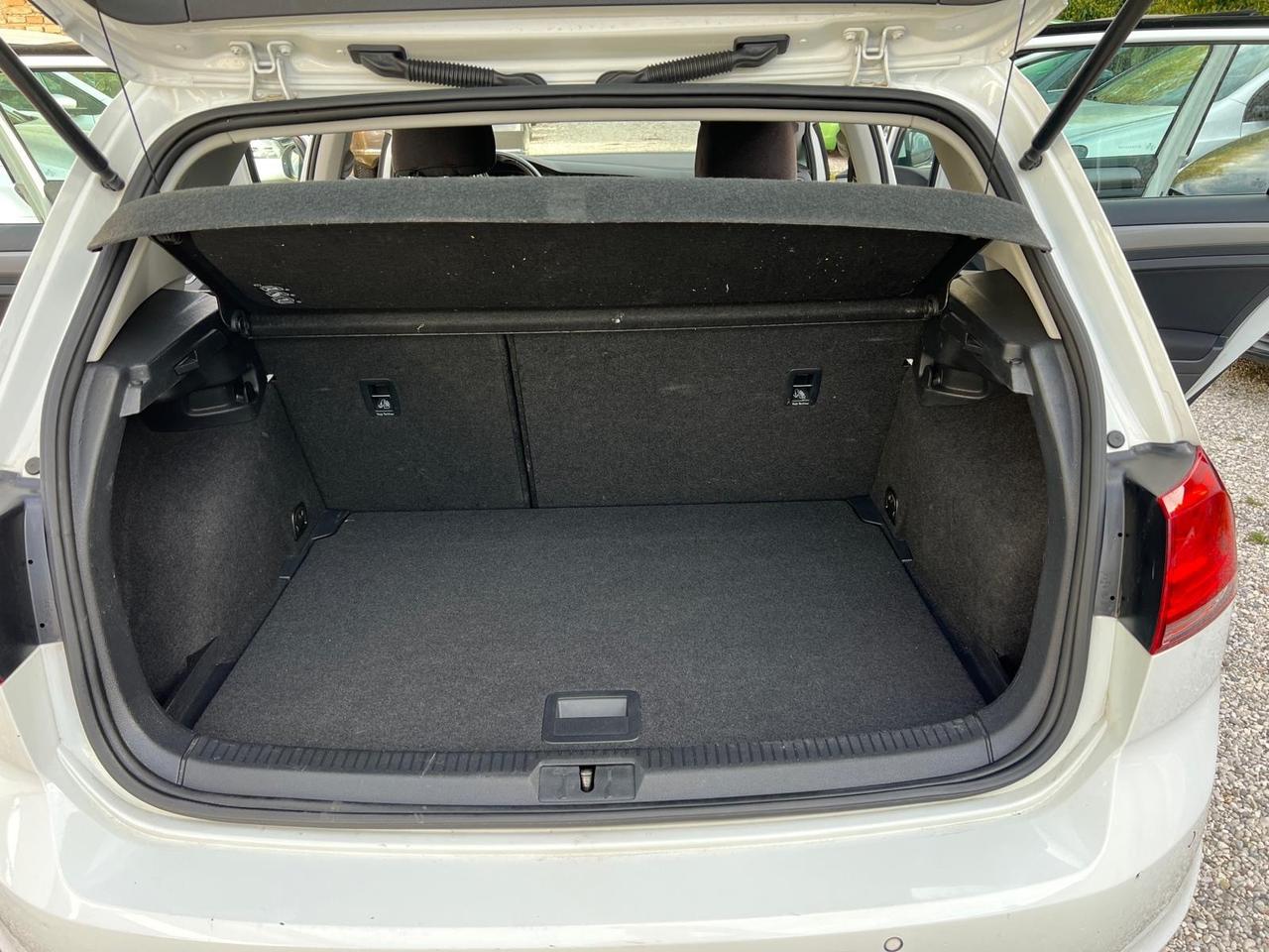 Volkswagen Golf 1.6 TDI 90 CV 5p. Tech&Sound BlueMotion Technology