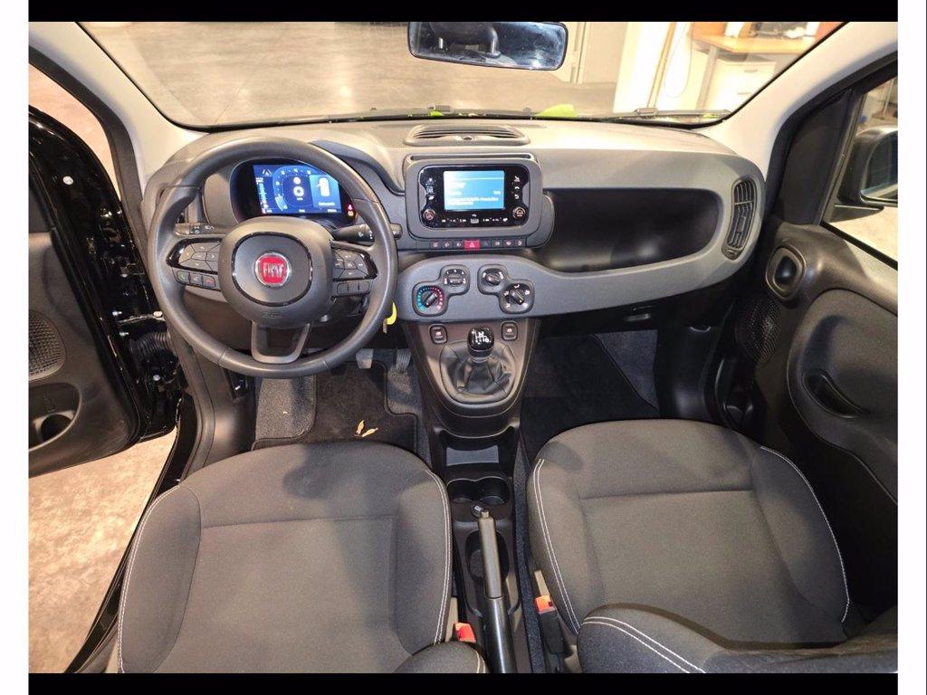 FIAT Panda 1.0 firefly hybrid icon s&s 70cv 5p.ti del 2025