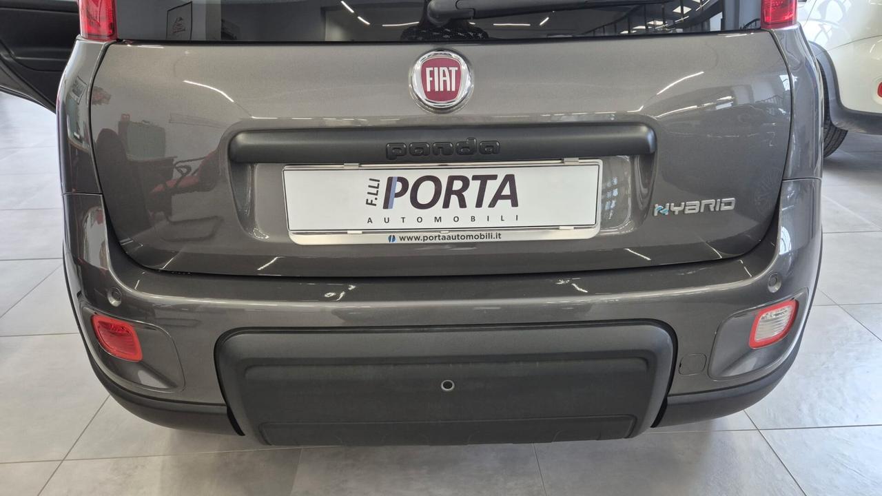 FIAT PANDA 1.0 FireFly 70cv S&S Hybrid City Life