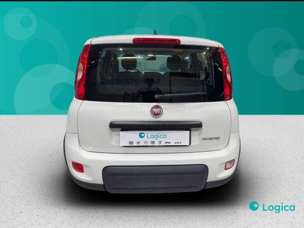 FIAT Panda III 2021 - Panda 1.0 firefly hybrid Sport s&s 70cv 5p.ti