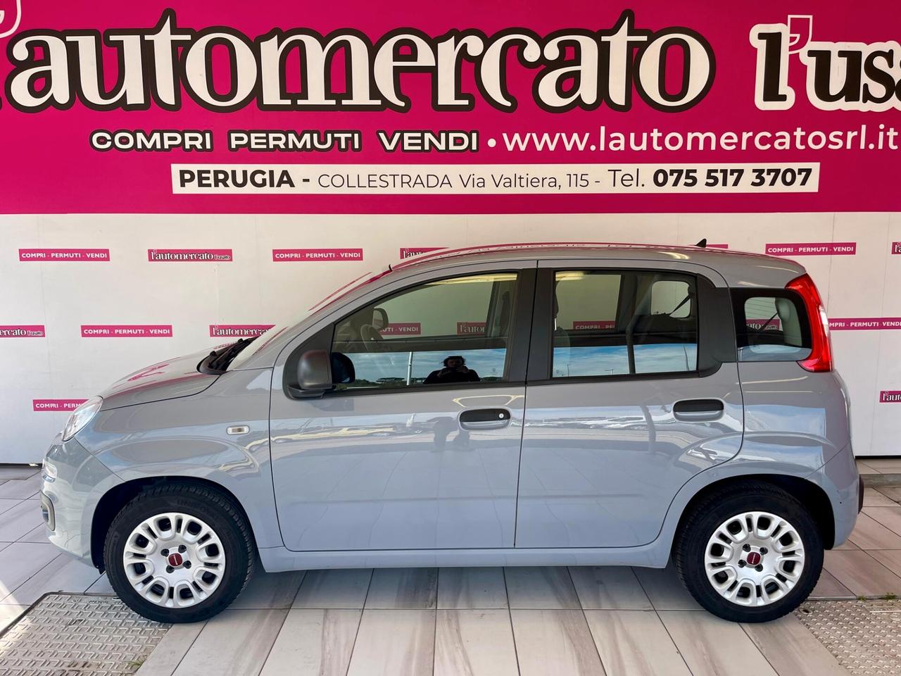 FIAT Panda 3ª serie Panda 1.2 EasyPower