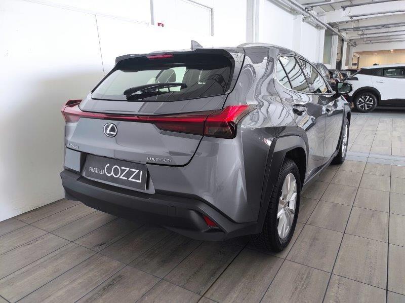 LEXUS UX - UX Hybrid Business