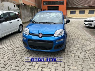 FIAT Panda PROMO FINANZIAMENTO 1.0 Hybrid Icon KM 0