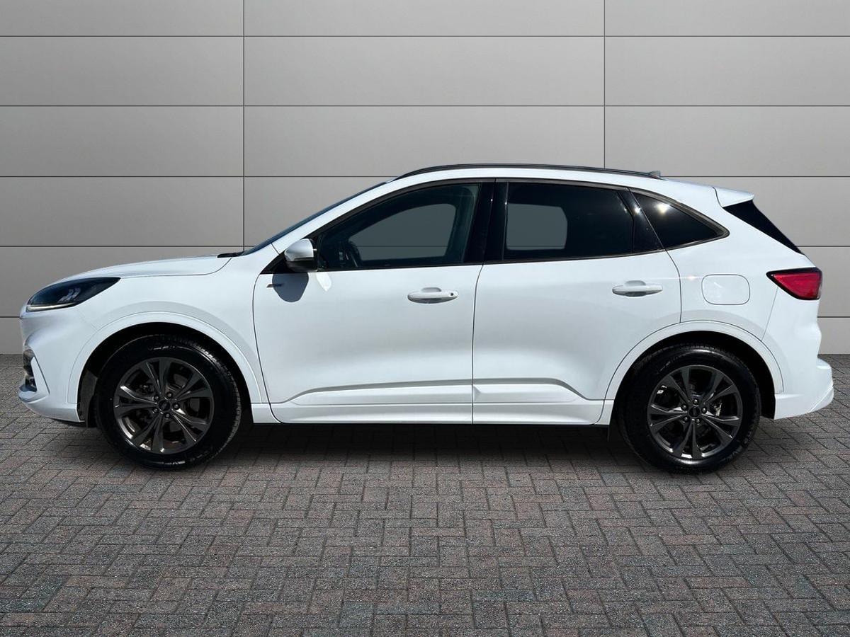 FORD Kuga III 2020 - Kuga 1.5 ecoboost ST-Line 2wd 150cv