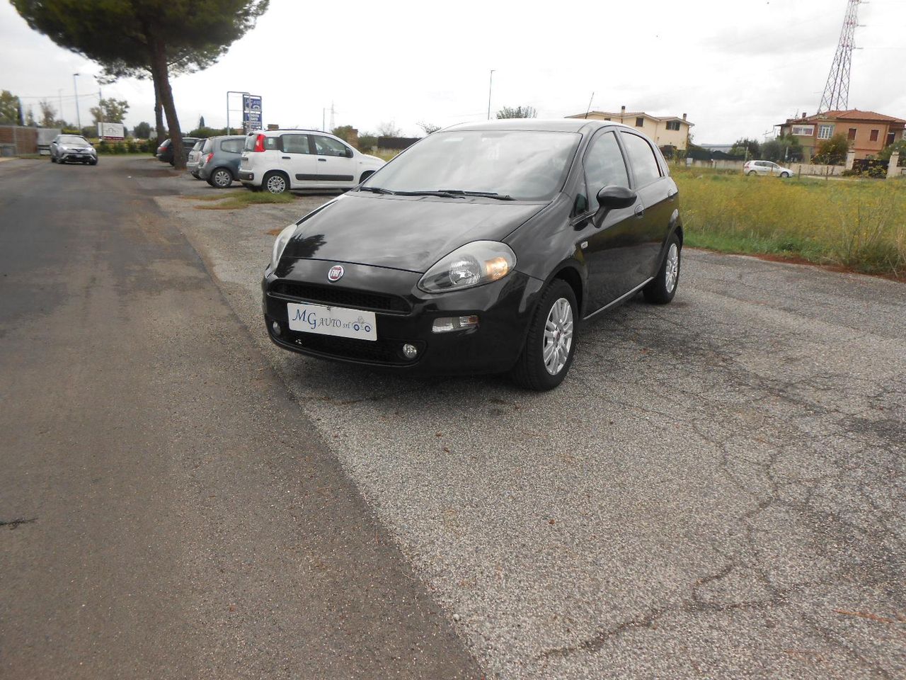 FIAT Punto Evo Punto Evo 1.3 Mjt 75 CV 5p. S&amp;S B.&amp;Me