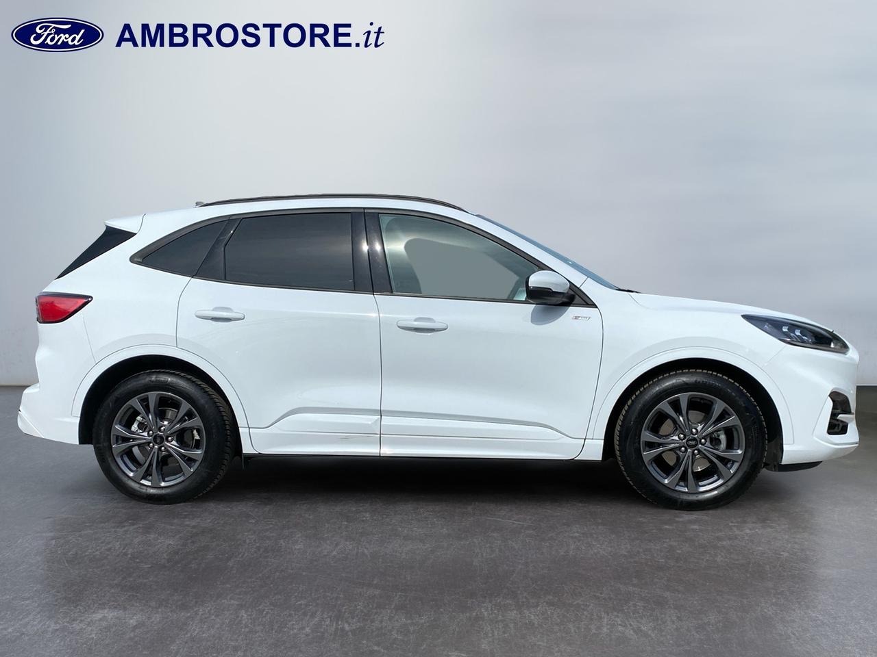 FORD Kuga III 2020 - Kuga 2.0 ecoblue ST-Line X Design 2wd 120cv