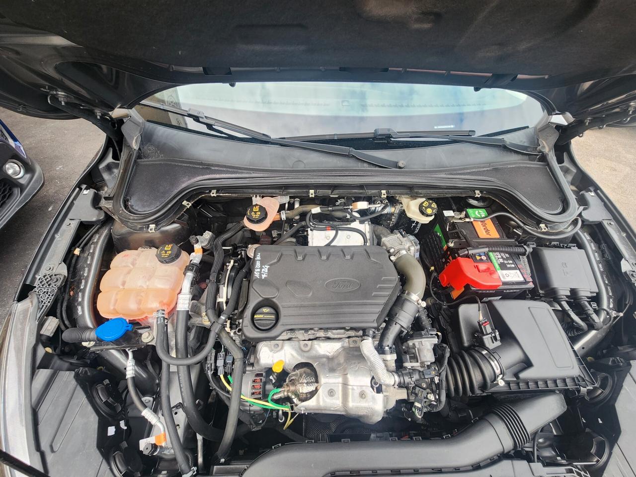 Ford Focus 2.0 EcoBlue 120 CV automatico SW ST-Line Co-Pilot - 2020