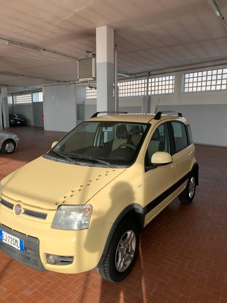 Fiat Panda 1.3 MJT 16V DPF 4x4 Climbing