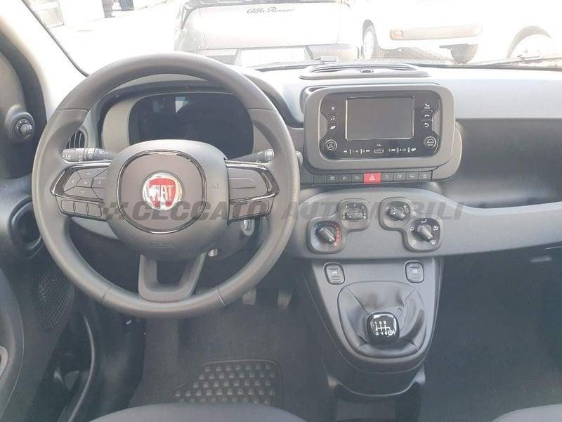 FIAT Panda Panda 1.0 firefly hybrid s&s 70cv