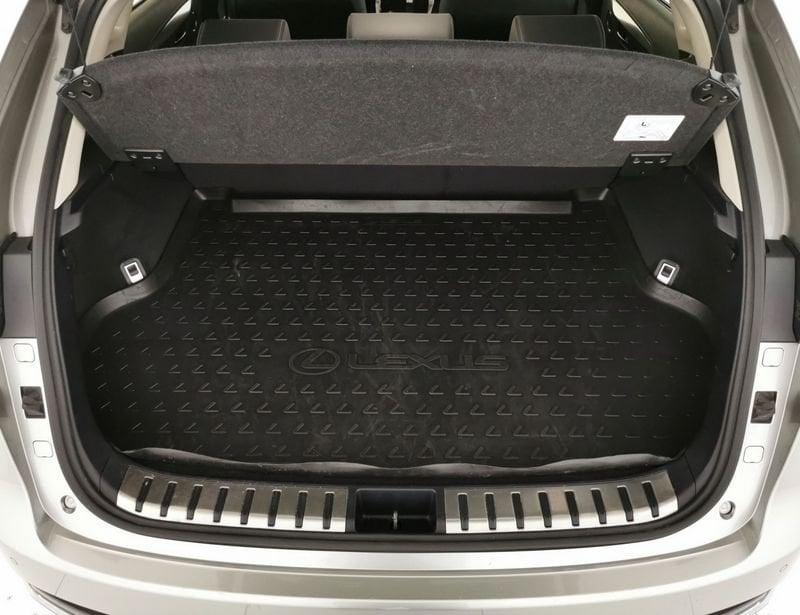 Lexus NX 300h 2.5 Premium 4wd cvt